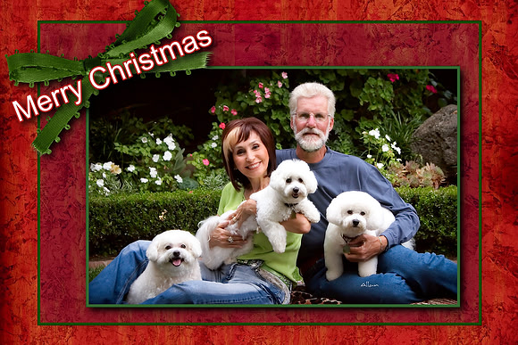 christmasCards 023 (Sheet 23)