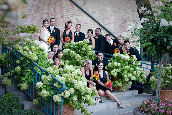 aliciajoewed223.jpg
