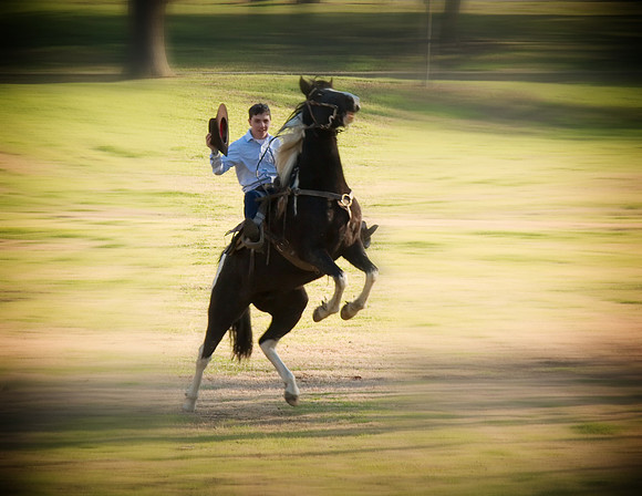 09jrhorse001.jpg