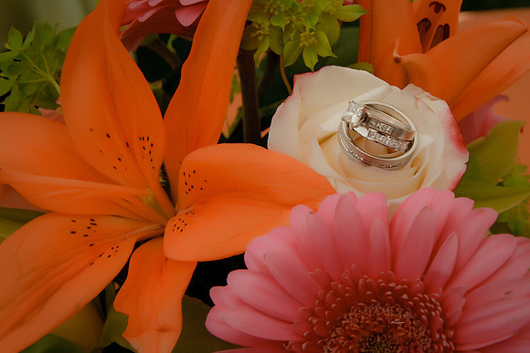 DAwn&Brian109