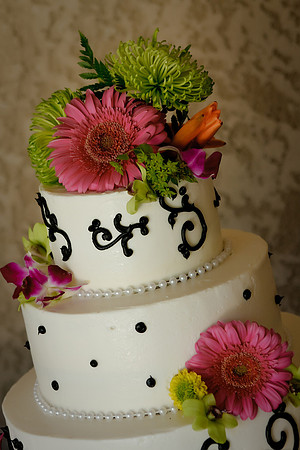 DAwn&Brian480