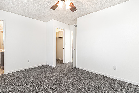 3324WildPalms23