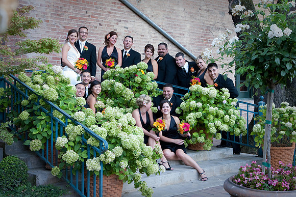 aliciajoewed222.jpg