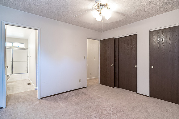 1296 #46 Spruce17