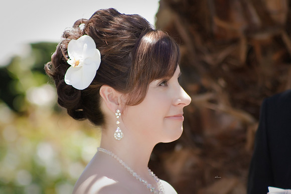 DAwn&Brian289