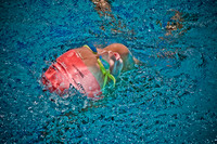 20090718-2009_0989.jpg
