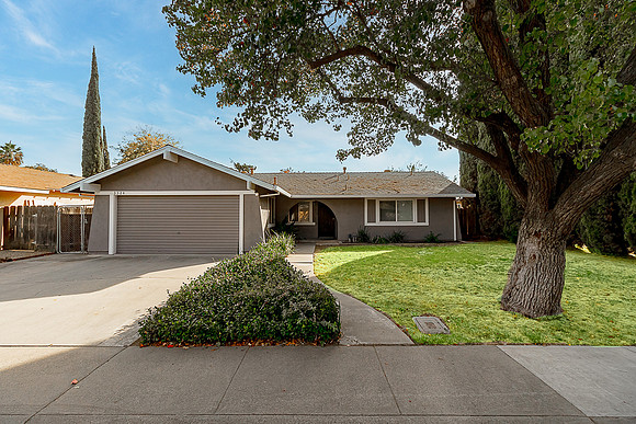 3324WildPalms02