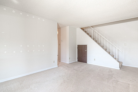 1296 #46 Spruce06