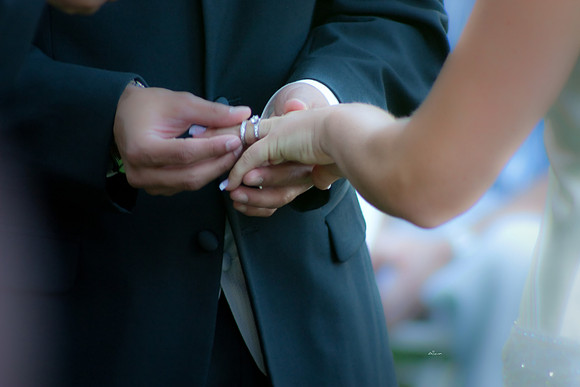 aliciajoewed159.jpg
