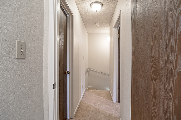 1296 #46 Spruce16