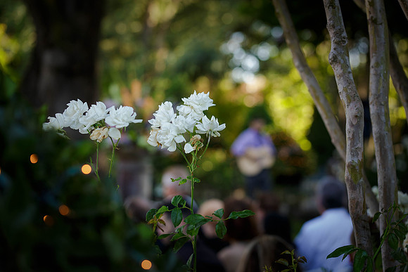 Maggie&Aaron169