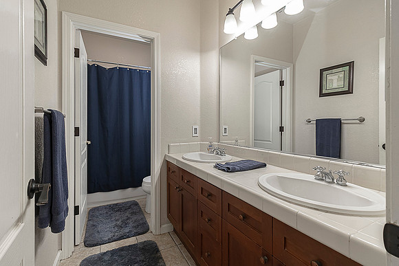 1701Trellis21