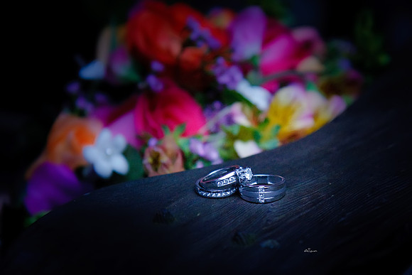 Haley & Chris452