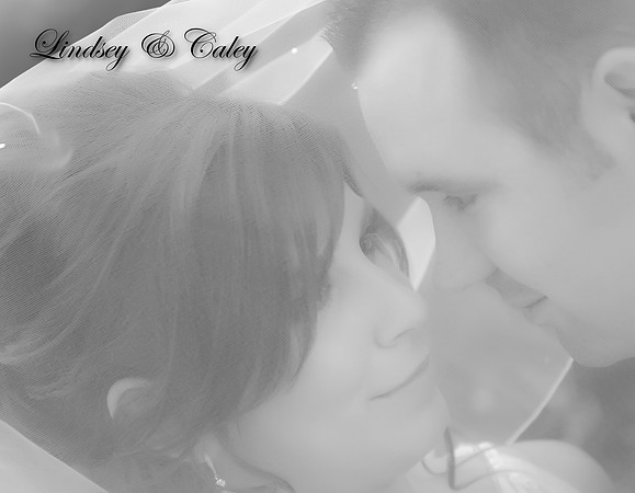 cover4