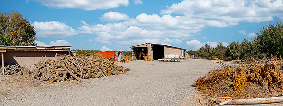 6613Woodland46