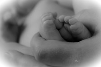 IMG_5663-2