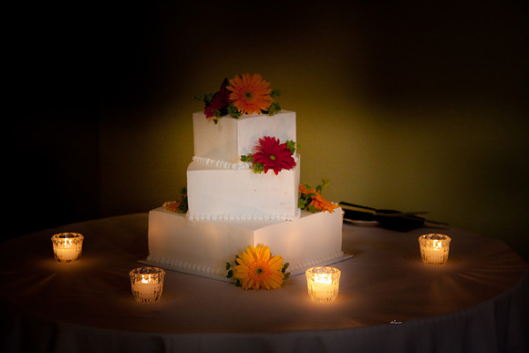 aliciajoewed294.jpg