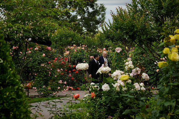 CandaceMikeWed083