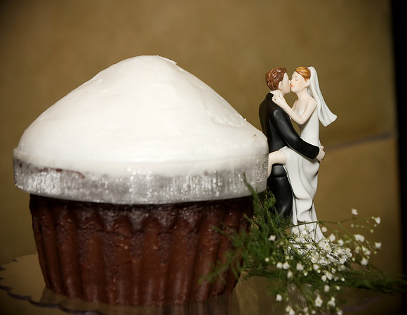 Courtney_Joe_Wed253