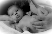 IMG_5659-2