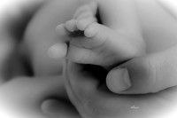IMG_5664-2